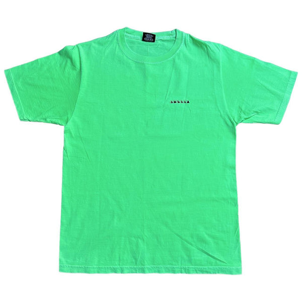 Stussy short sleeve T-shirt cut and sew light green