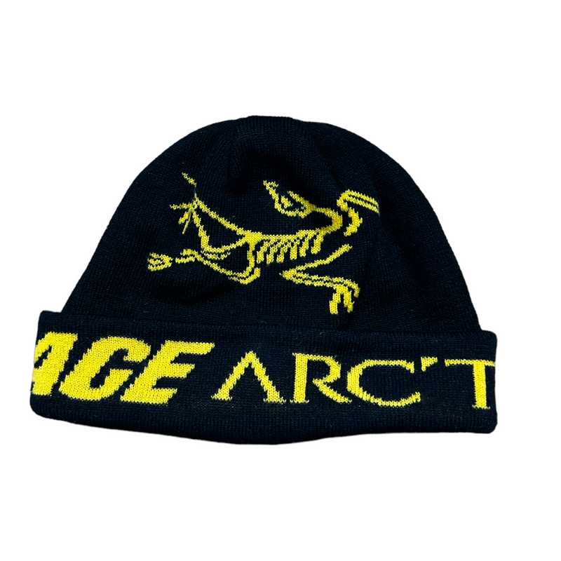 ARCTERYX x PALACE beanie